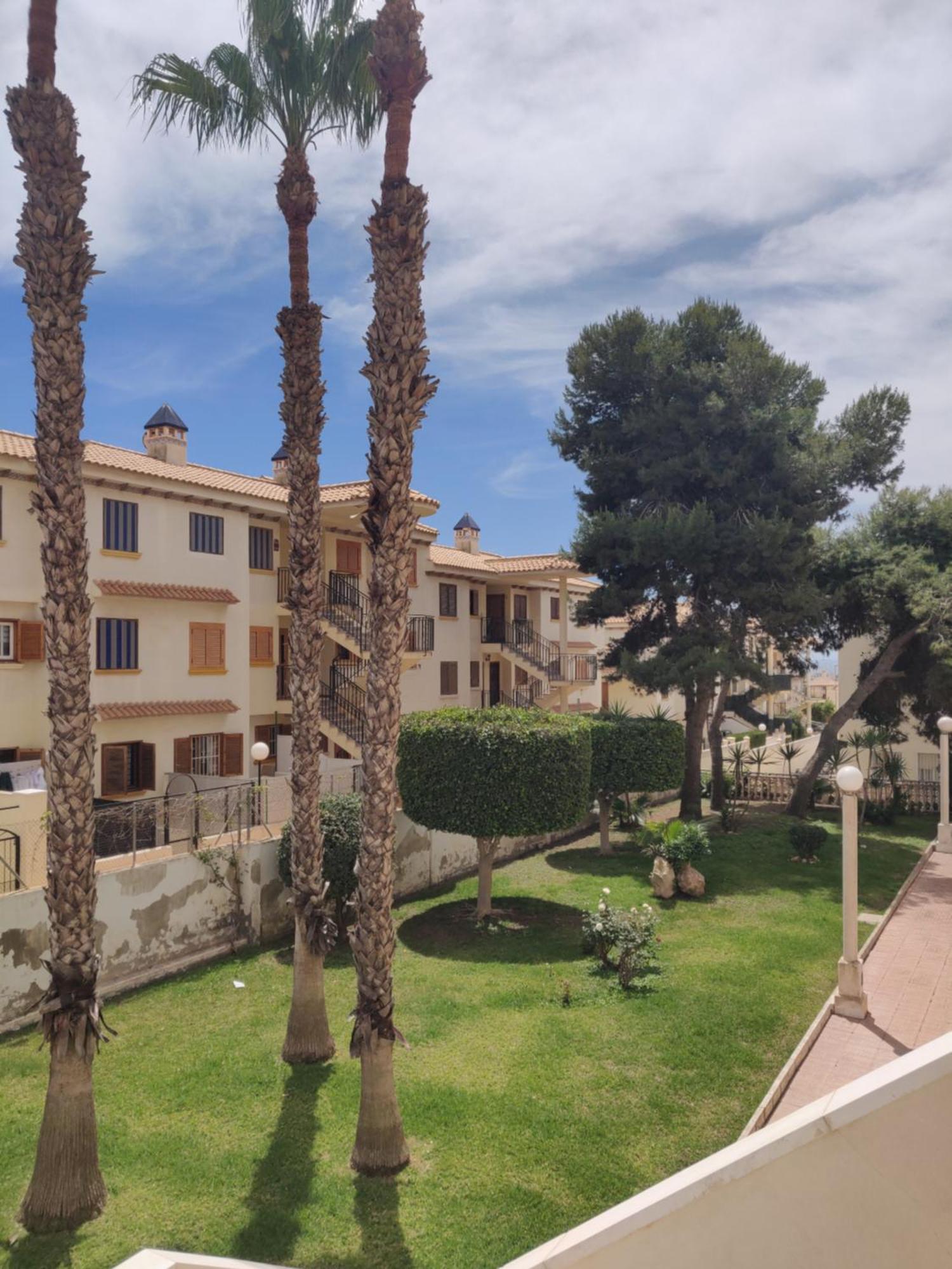 Apartamentos Soleados Cerca De La Playa La Mata 托雷维耶哈 外观 照片
